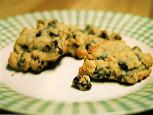 compost oatmeal cookie with cannabutter oatmeal cookies